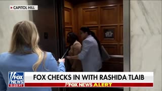 'I Don't Talk To Fox News!': Rep. Rashida Tlaib Blows Fuse When Reporter Confronts Her