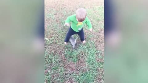 Funny Baby and Cat Video