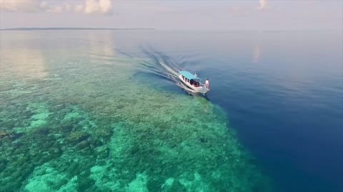 Sailing across the beautiful ocean reef