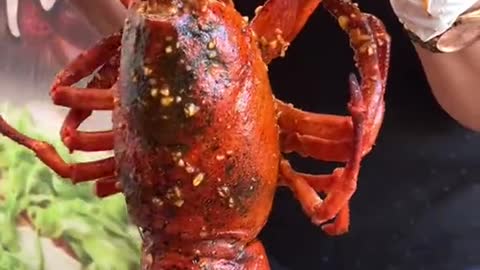 Great lobster