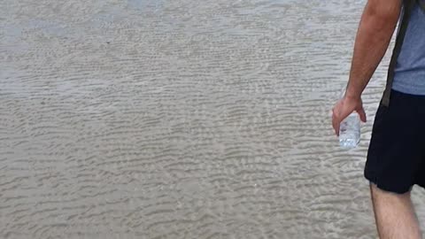 Walk on the beach