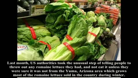 First US death in romaine lettuce E.coli outbreak