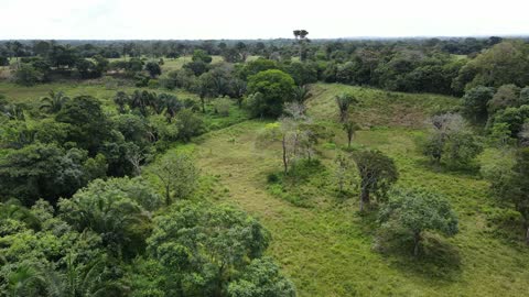 Llanos Orientales, Colombia in 4k