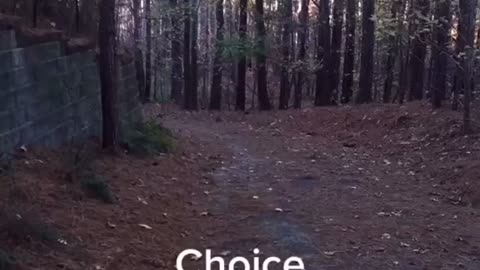 You are your choices