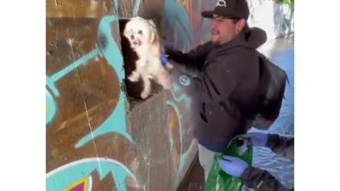 puppy found in a sewer has a new home