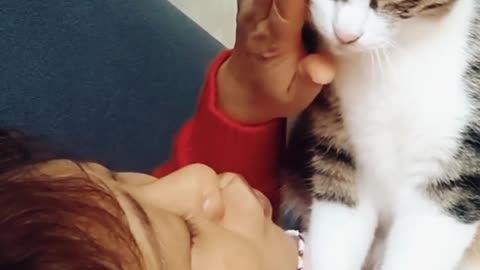 Cat love 🐱