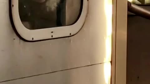 Little girl has face up against window