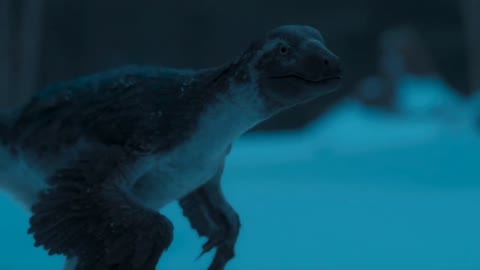 Prehistoric Planet [2022] - Dromaeosaurus Screen Time