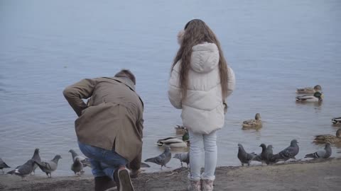 girl with long curly hair standing on riverbank and looking at father feeding ducks
