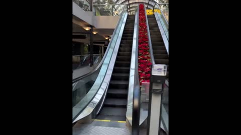 Dystopian Scenes From This Mall In San Francisco That Is Nearly 100% Abondoned