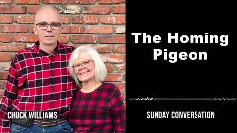 “The Homing Pigeon” | Sunday Conversation 5/26/2024