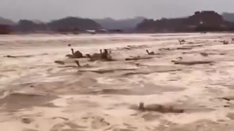 Flood on desert 2024