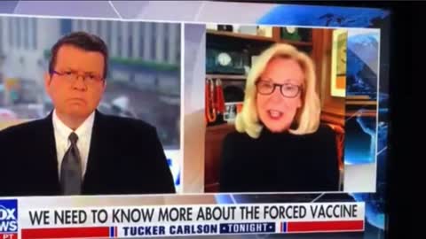 Dr Deborah Birx says she knew the vaccines wouldn’t work. Criminal charges are required now