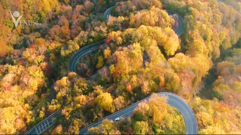 いろは坂紅葉ドローン Irohazaka Drone in Autumn