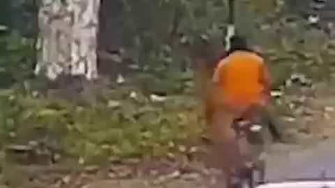 dude gets attacked by big cat riding his bike.