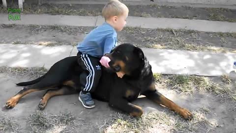 Rottweiler And Babies ( So Cute )