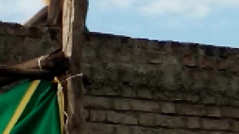 Monkey on house roof