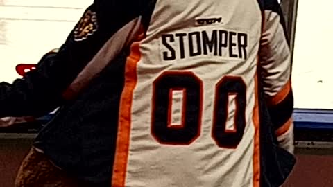 Hey it's Stomper!
