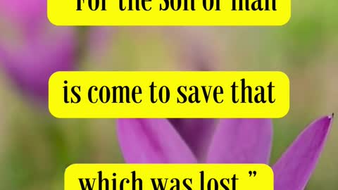 Jesus Said... “For the Son of man is come to save that which was lost.”