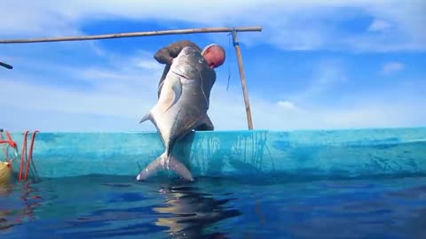 Indonesia Spearfishing