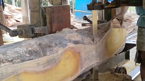 Monster Wood In The Amazing Sawmill Saw