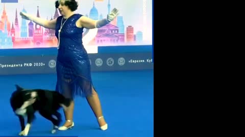 These dogs have got some serious moves
