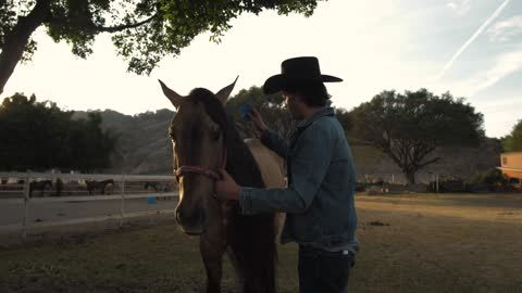 A rancher brushing horse's hair