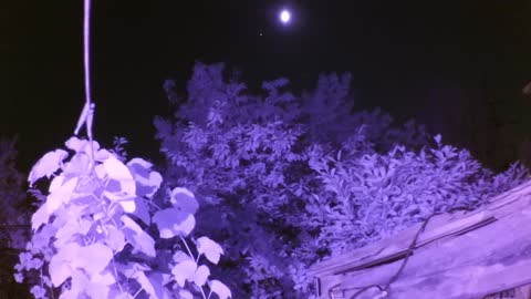 Xiaomi YI camera conversion to night vision device