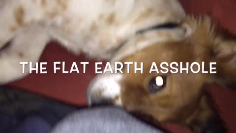 Flat Earth Asshole - Globe Earth Dilemma Doodle (2016)