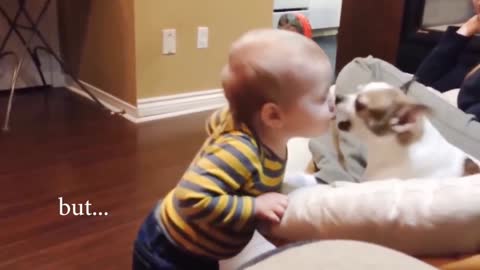 Cute Dogs and Babies are Best Friend
