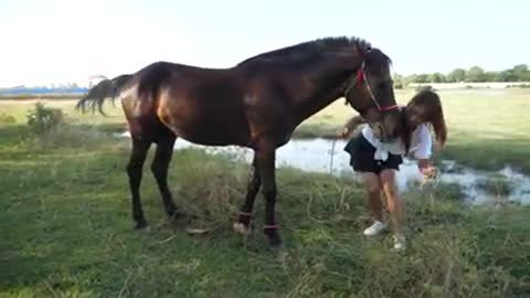 Girl training her horse at farm koi video