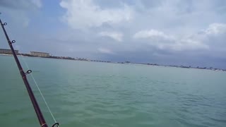 Caladesi Island Fishing