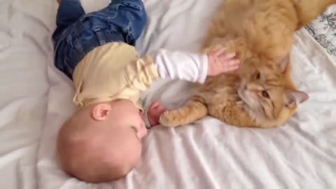 Cats playing with Babies [NEW] Compilation