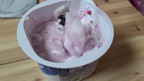 plain yogurt with blueberry