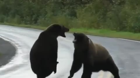 Viral video with A dispute on the road