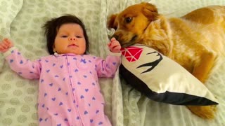 Newborn dancing with dog