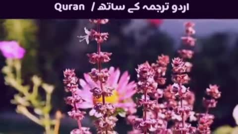 Surah Rahman With Urdu Translation | Qari Abdul Basit Abdul Samad | - اردو ترجمہ کے ساتھ