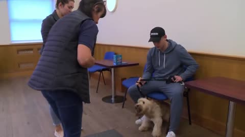 Chloe gets emotional after dog training Is A disaster | Teen mom uk 5