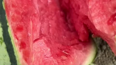 Seedless Watermelon Explodes