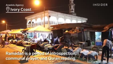 A Cat Joins A Ramadan Prayer As Muslims Celebrate The Holy Month