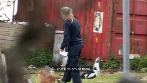 Ireland’s Animal Rescue - Animal Horder