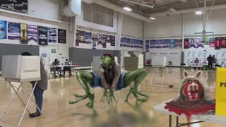 2020 Wide Spread Election Frog