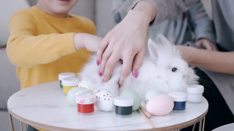 A White Rabbit And Easter Egg Making