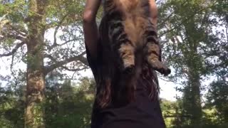 She loves that trampoline cat