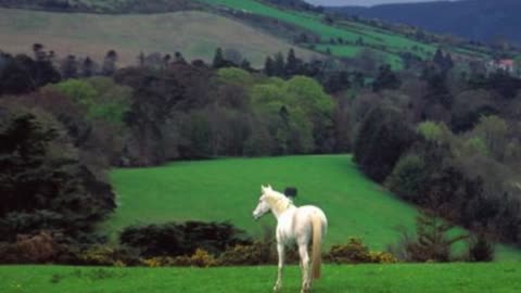 Riverdance