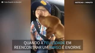 Este cão está realmente muito feliz em ver seu dono