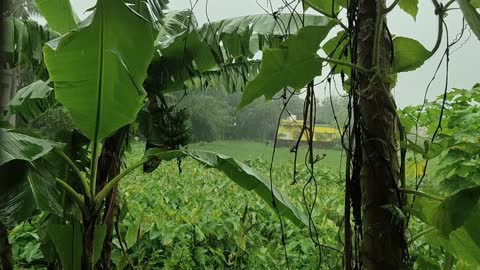 Rainy day in village