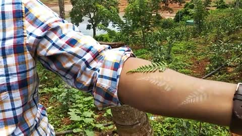 Natural tatoo by unbelievable plant