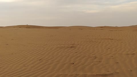 desert video 2019