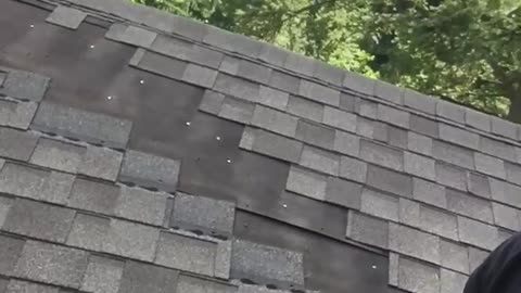 High Nailed Roof